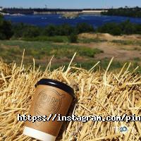 Pin Cup, кав'ярня фото