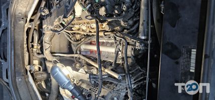 відгуки про Black motors фото