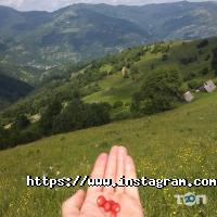 Товары для дома GoodMak фото