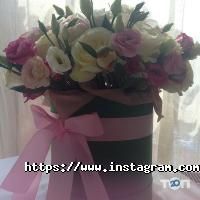 Fiorina Житомир фото