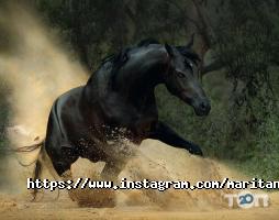 Фото, відео послуги MariTane фото