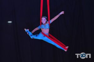 Школи танців Академія повітряної акробатики та спорту на пілоні фото