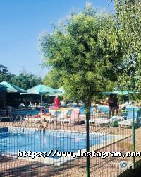 Arkadia Gold Запоріжжя фото