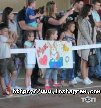 відгуки про Їжачок фото