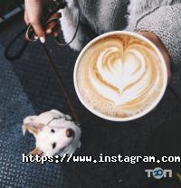 відгуки про Loft Cup фото