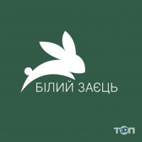 Білий заєць, пасажирські перевезення фото