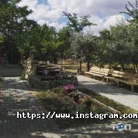 Відродження Одеса фото