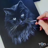 Vk-Arts отзывы фото