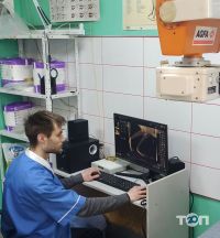Ветеринарні клініки Зоодоктор Олексіївка фото