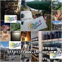 відгуки про Happy holidays фото