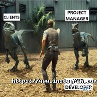 jKing, веб-студія фото