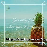 2Win відгуки фото