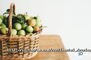 Continental Development Івано-Франківськ фото