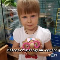 Пряник Дніпро фото