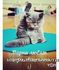 Эдельвейс отзывы фото