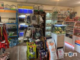 Пітон Кривий Ріг фото