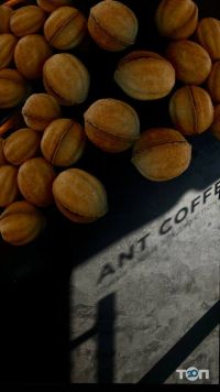 Ant Coffee відгуки фото