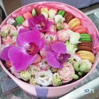 відгуки про Жасмин фото