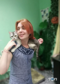 відгуки про Компаньон фото