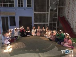 Тедди отзывы фото