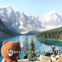 Linefriends отзывы фото