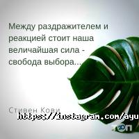 Товари для дому Ayur Boutique фото