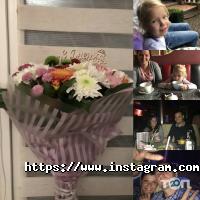 WinDesign, салон штор фото