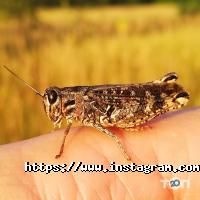 відгуки про Екопанель фото