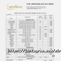Миронівські-насіння Харків фото