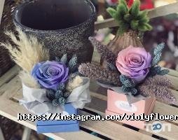 Violy flowers, оформлення свят фото