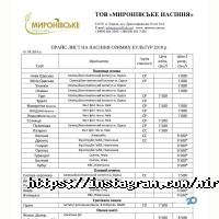 Миронівські-насіння фото