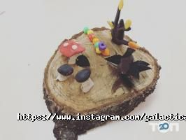 Галактика, страхова компанія фото