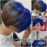 Салони краси Red Fox фото