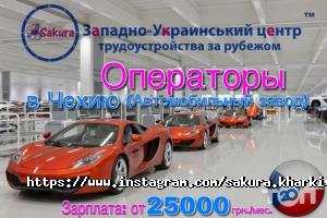 Сакура Харьков фото