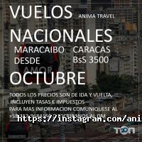 Anima Travel отзывы фото