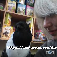 відгуки про Хаскі в масці фото