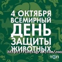 ЗООдруг, зоомагазин фото