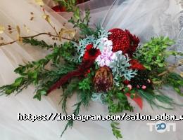 Эдем Харьков фото