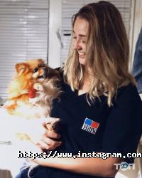 Alvet, ветеринарний центр фото