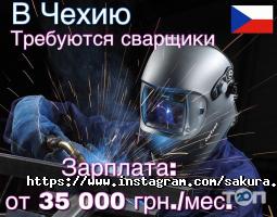 Работа за границей Сакура фото