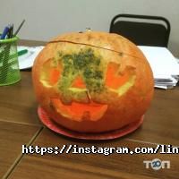 відгуки про Lingvo Classic фото