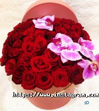 Магазини квітів Flowers Story фото