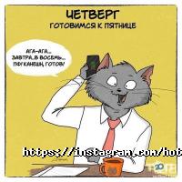 Гостиницы, хостелы Шугла фото