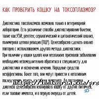 відгуки про Ветаптека професора Літарова фото