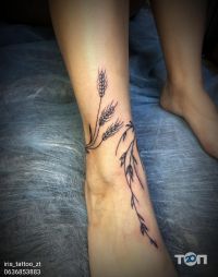 відгуки про Iris tatto фото