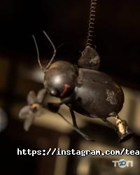 отзывы о Tea & Coffee Garden фото