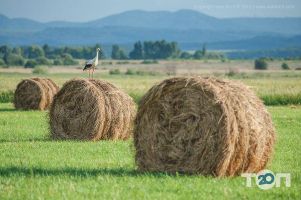 Зооуголок отзывы фото