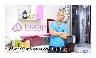 Інжир, студія краси фото