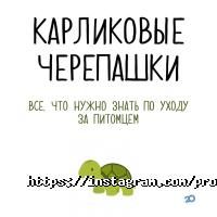 Ветеринарні клініки Ветаптека професора Літарова фото