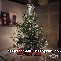 Gosti відгуки фото